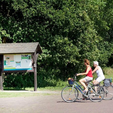 Appartementen - Bungalowpark Mooyeveld - Uniek Gelegen In De Duinen! Egmond-Binnen Exteriör bild