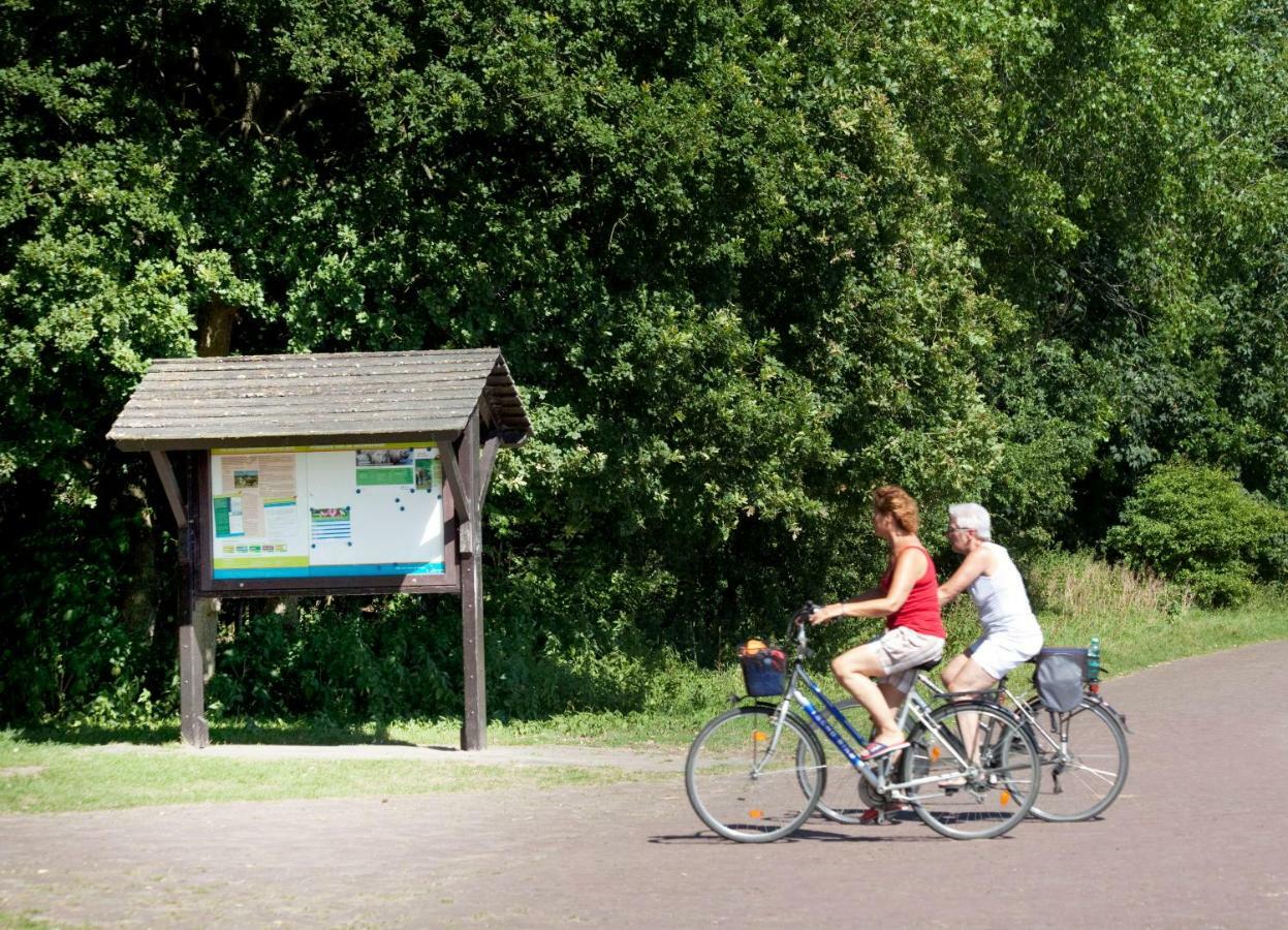 Appartementen - Bungalowpark Mooyeveld - Uniek Gelegen In De Duinen! Egmond-Binnen Exteriör bild